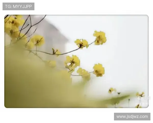 《岁月如金》：时光雕刻下的温情与回响